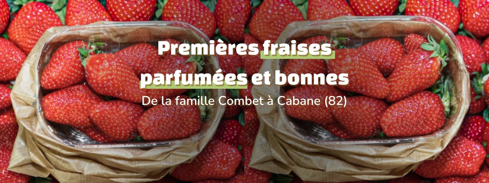 La saison des fraises